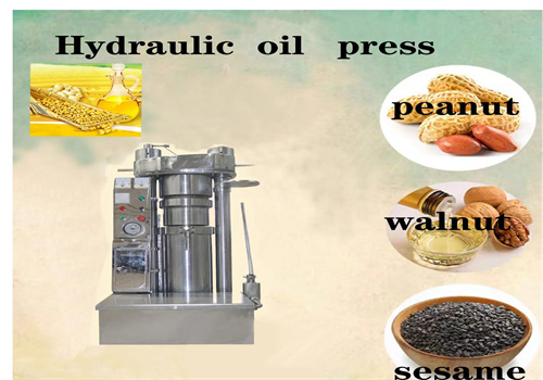 Máquina para fabricar aceite comestible 6yl-80a de Paraguay con filtro de aceite