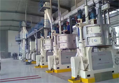 Máquina de prensado de aceite de girasol de 80 t/d en Argentina