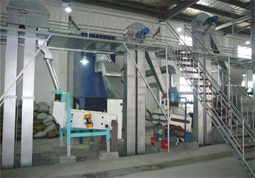Expeller de aceite comestible de escala media de 150 kg/h en Quito