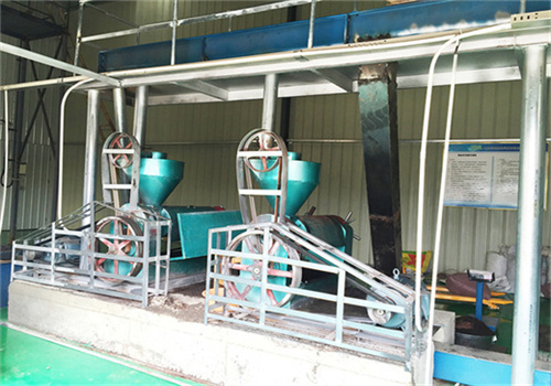 Expulsor de aceite de maní de bajo costo de 1 a 3 tph en Costa Rica