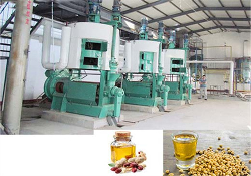 Máquina de extracción de aceite de tornillo comestible con certificación CE de Argentina