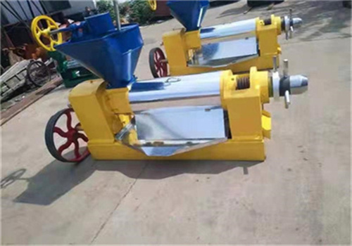 Extractor de aceite comestible de 500 kg/h ahorrador de energía en Colombia