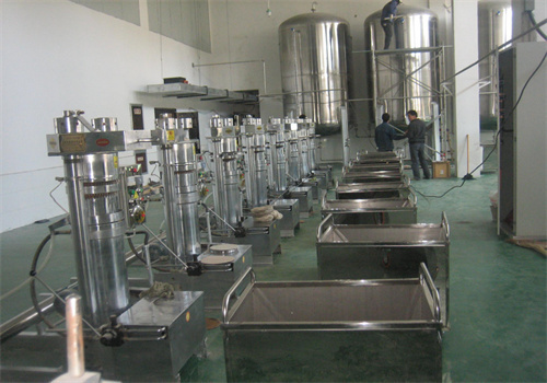 Venta de fábrica comprar máquina de prensa de aceite comestible en Paraguay