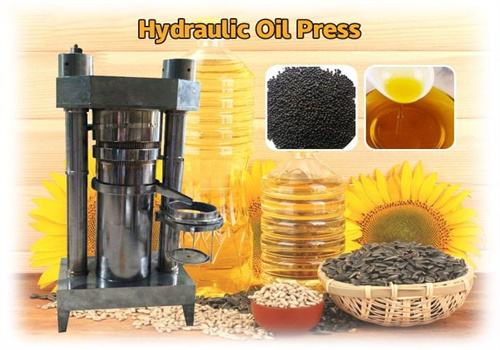 Gran promoción de Uruguay de máquina para fabricar aceite comestible 6yl-100