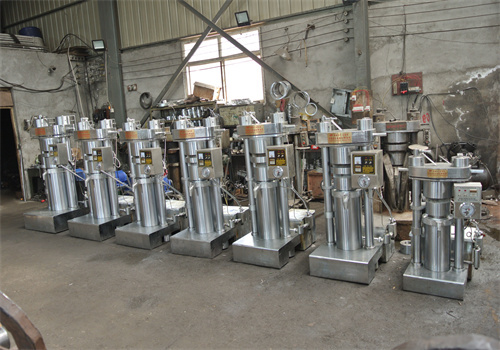 Venta en línea de expulsor de aceite de girasol de 500 kg/h en Bolivia