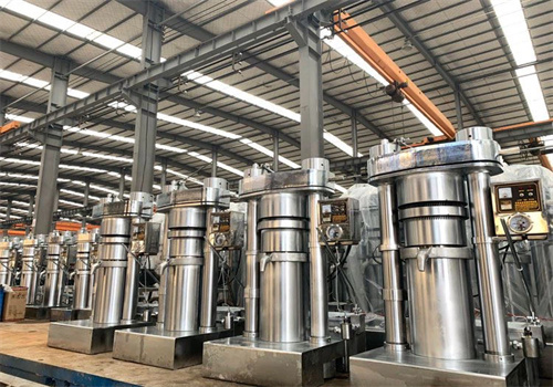 Máquina de prensado de aceite de sésamo de Uruguay de 300-600 kg/h