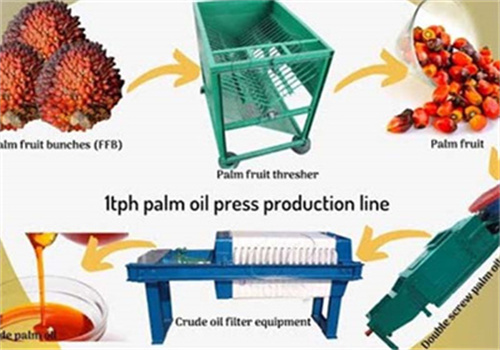 Prensa de aceite de palma de acero inoxidable de 25-30 t/d en Venezuela
