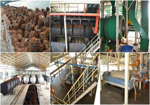 Máquina de prensado de aceite de palma a bajo precio en venta en Brasil