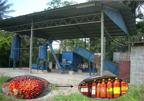 La máquina de prensado de aceite de palma de 50 toneladas por día más popular de Paraguay