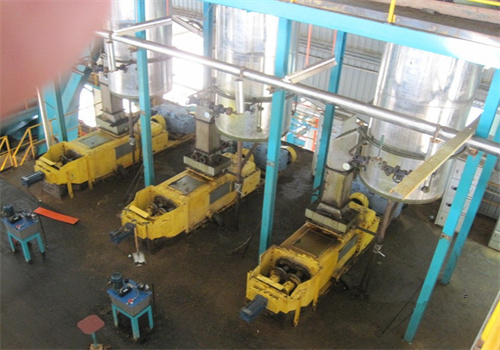 Prensa de aceite de palma moderna ahorradora de energía en República Dominicana
