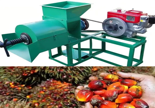 Precio de la prensa de aceite de palma automática en Guatemala
